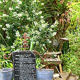 au potager influence typ medieval